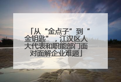 从“金点子”到“金钥匙”，江汉区人大代表和职能部门面对面解企业难题