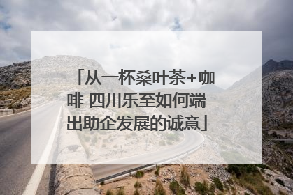 从一杯桑叶茶+咖啡 四川乐至如何端出助企发展的诚意