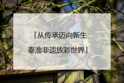 从传承迈向新生 秦淮非遗放彩世界