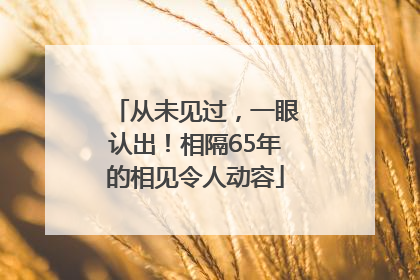 从未见过，一眼认出！相隔65年的相见令人动容