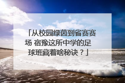 从校园绿茵到省赛赛场 宿豫这所中学的足球班藏着啥秘诀？