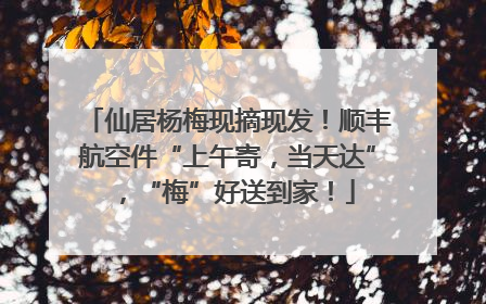 仙居杨梅现摘现发！顺丰航空件“上午寄，当天达”，“梅”好送到家！
