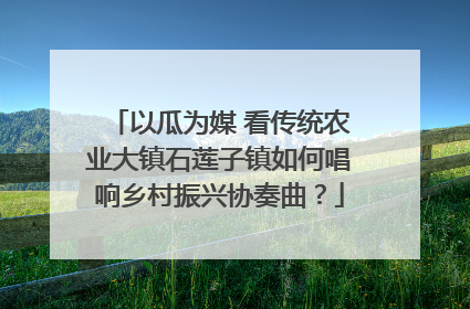 以瓜为媒 看传统农业大镇石莲子镇如何唱响乡村振兴协奏曲？
