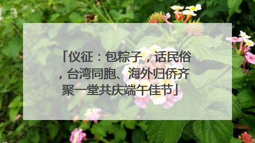 仪征：包粽子，话民俗，台湾同胞、海外归侨齐聚一堂共庆端午佳节