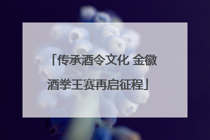 传承酒令文化 金徽酒拳王赛再启征程