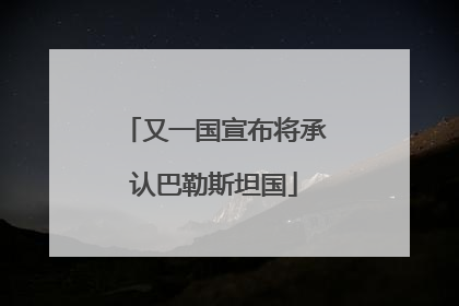 又一国宣布将承认巴勒斯坦国