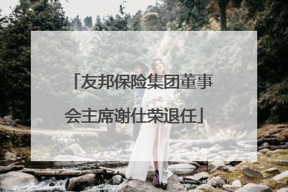友邦保险集团董事会主席谢仕荣退任