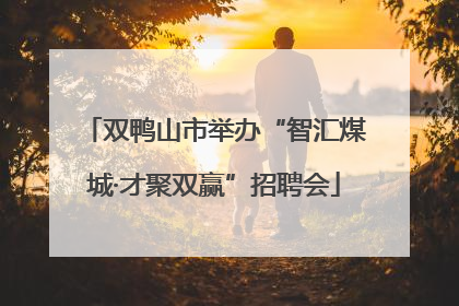 双鸭山市举办“智汇煤城·才聚双赢”招聘会