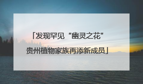 发现罕见“幽灵之花” 贵州植物家族再添新成员