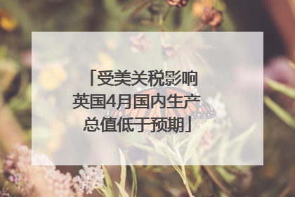 受美关税影响 英国4月国内生产总值低于预期