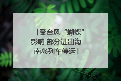 受台风“蝴蝶”影响 部分进出海南岛列车停运