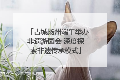 古城扬州端午举办非遗游园会 深度探索非遗传承模式