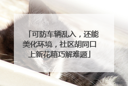 可防车辆乱入，还能美化环境，社区胡同口上新花箱巧解难题