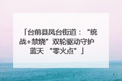 台前县凤台街道：“统战+禁烧”双轮驱动守护蓝天 “零火点”