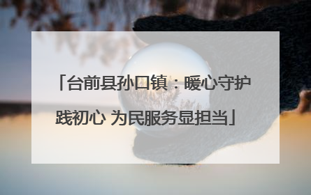 台前县孙口镇：暖心守护践初心 为民服务显担当