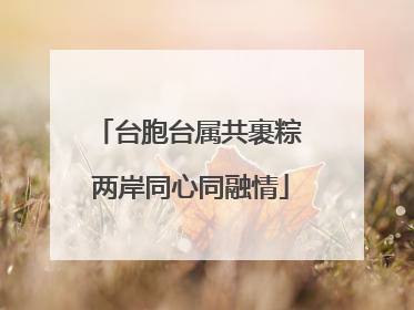 台胞台属共裹粽 两岸同心同融情
