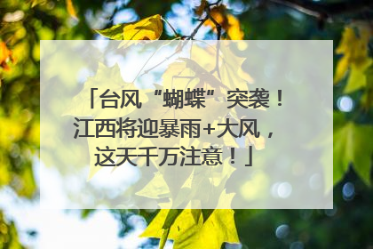 台风“蝴蝶”突袭！江西将迎暴雨+大风，这天千万注意！