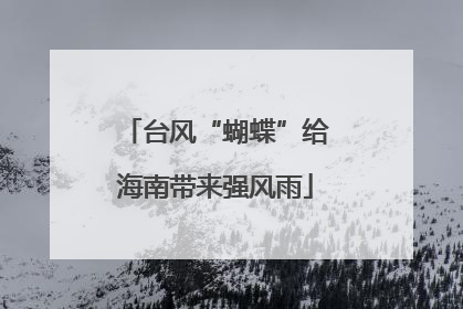 台风“蝴蝶”给海南带来强风雨