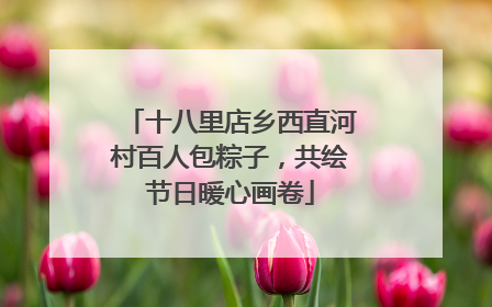 十八里店乡西直河村百人包粽子，共绘节日暖心画卷