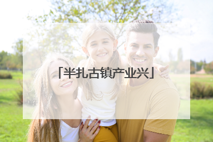 半扎古镇产业兴