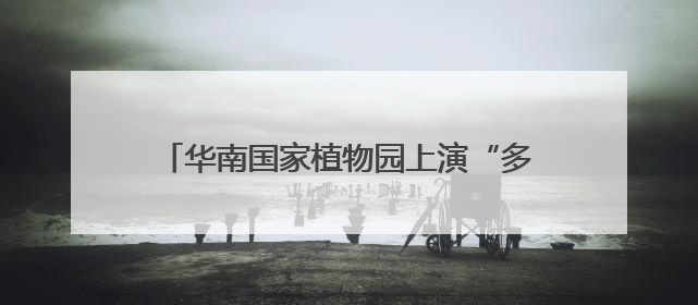 华南国家植物园上演“多肉界玫瑰传奇”，从呆萌树干到炸裂种子全是戏！