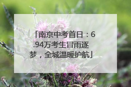 南京中考首日：6.94万考生冒雨逐梦，全城温暖护航