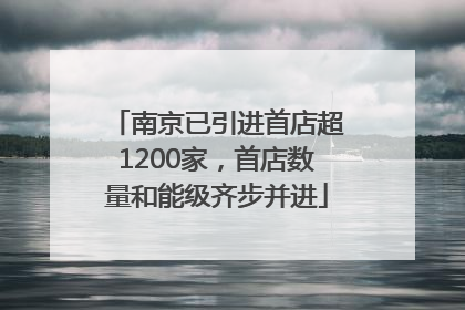 南京已引进首店超1200家，首店数量和能级齐步并进