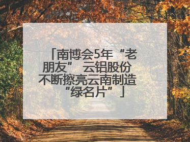 南博会5年“老朋友” 云铝股份不断擦亮云南制造“绿名片”