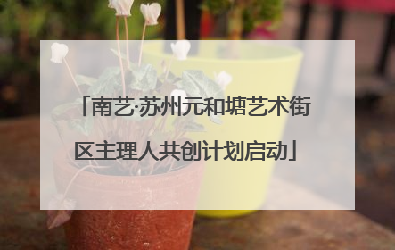 南艺·苏州元和塘艺术街区主理人共创计划启动
