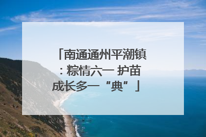 南通通州平潮镇：粽情六一 护苗成长多一“典”