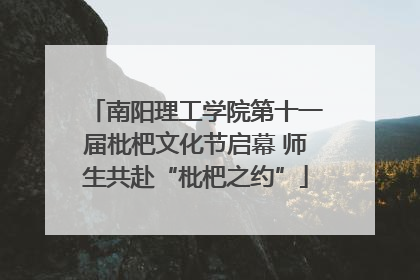 南阳理工学院第十一届枇杷文化节启幕 师生共赴“枇杷之约”