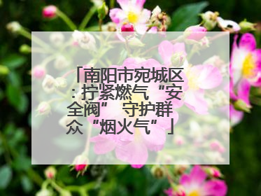 南阳市宛城区：拧紧燃气“安全阀” 守护群众“烟火气”
