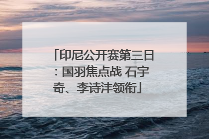 印尼公开赛第三日：国羽焦点战 石宇奇、李诗沣领衔