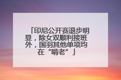 印尼公开赛退步明显，除女双顺利接班外，国羽其他单项均在“啃老”