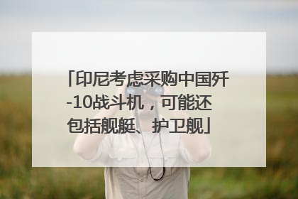印尼考虑采购中国歼-10战斗机，可能还包括舰艇、护卫舰