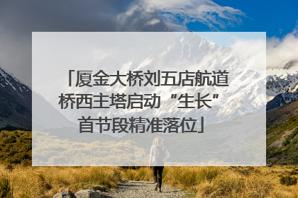 厦金大桥刘五店航道桥西主塔启动“生长” 首节段精准落位
