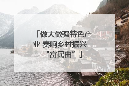 做大做强特色产业 奏响乡村振兴“富民曲”