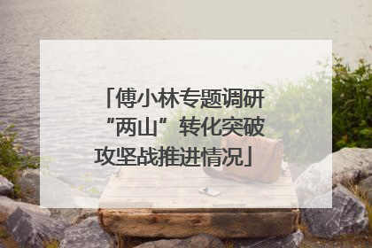 傅小林专题调研“两山”转化突破攻坚战推进情况