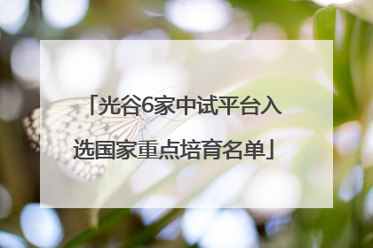 光谷6家中试平台入选国家重点培育名单
