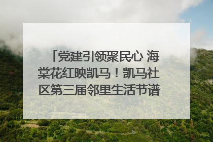 党建引领聚民心 海棠花红映凯马！凯马社区第三届邻里生活节谱写幸福新篇章