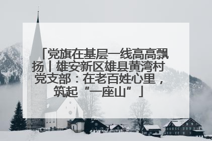 党旗在基层一线高高飘扬丨雄安新区雄县黄湾村党支部：在老百姓心里，筑起“一座山”