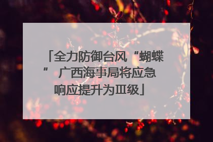 全力防御台风“蝴蝶” 广西海事局将应急响应提升为Ⅲ级