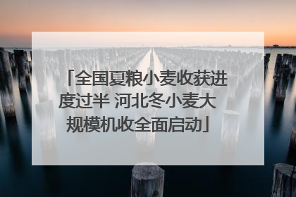 全国夏粮小麦收获进度过半 河北冬小麦大规模机收全面启动