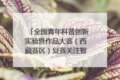 全国青年科普创新实验暨作品大赛（西藏赛区）复赛关注智慧环保等主题