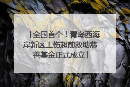 全国首个！青岛西海岸新区工伤超前救助慈善基金正式成立