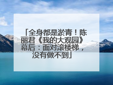 全身都是淤青！陈丽君《我的大观园》幕后：面对滚楼梯，没有做不到