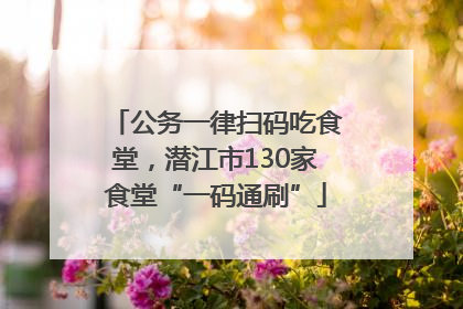 公务一律扫码吃食堂，潜江市130家食堂“一码通刷”