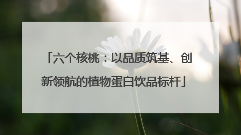 六个核桃：以品质筑基、创新领航的植物蛋白饮品标杆