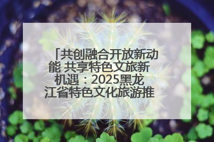 共创融合开放新动能 共享特色文旅新机遇：2025黑龙江省特色文化旅游推介会在抚远举行