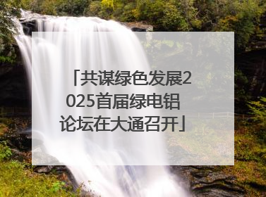 共谋绿色发展2025首届绿电铝论坛在大通召开